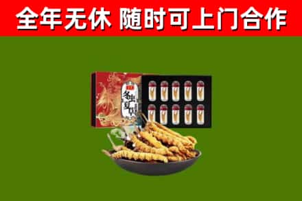 邓州市回收冬虫夏草价格